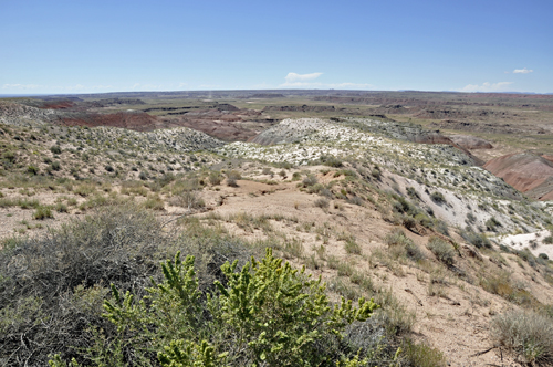 The Petrified Desert as seen from Whipple Point